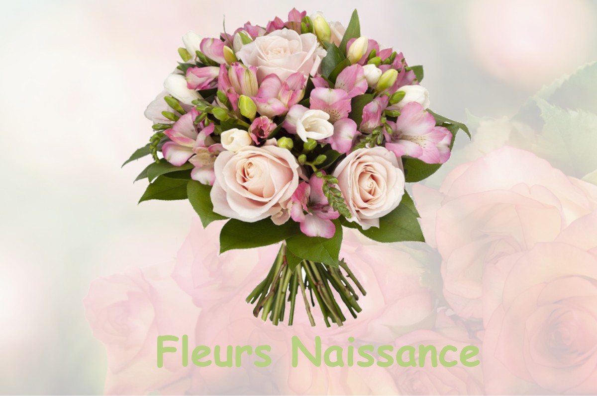 fleurs naissance SAINT-ANDRE-D-OLERARGUES